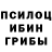 Галлюциногенные грибы Psilocybine cubensis Torin Duboshit