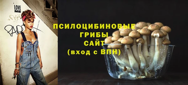 ГАЛЛЮЦИНОГЕННЫЕ ГРИБЫ Алзамай