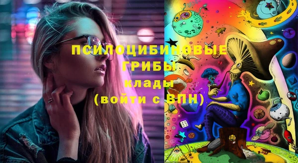 спайс Алексин