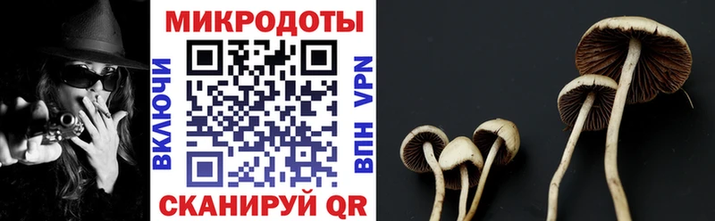 Псилоцибиновые грибы мицелий  MEGA маркетплейс  Жуковка 